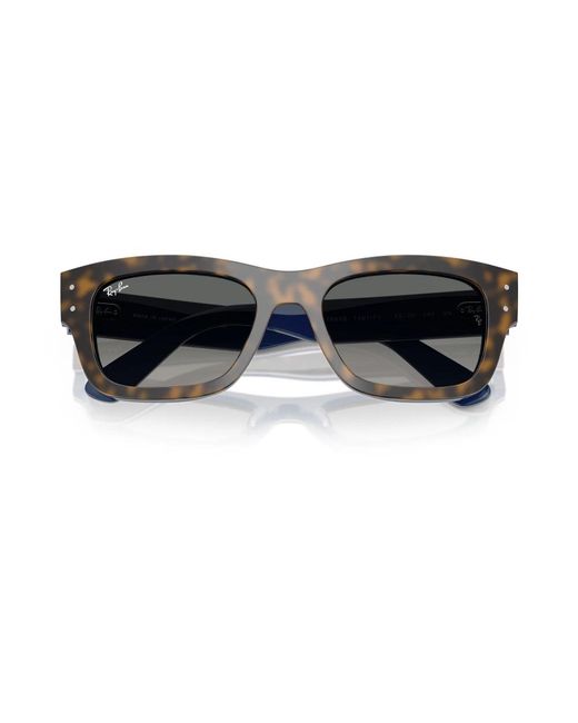 Ray-Ban Gray Sunglasses