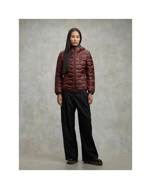 Winter Jackets Blauer en coloris Brown