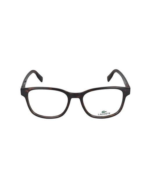 Lacoste Brown Glasses for men