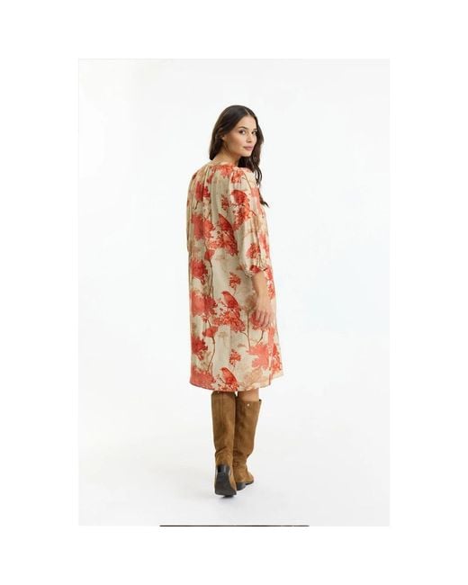 iN FRONT Multicolor Midi Dresses