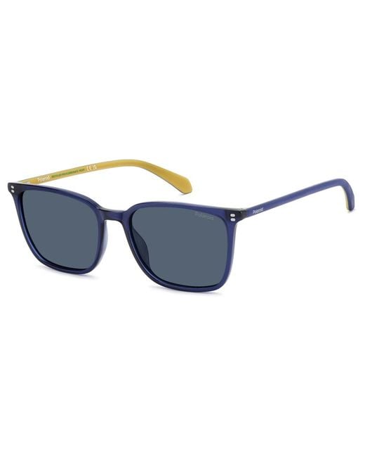 Polaroid Blue Sunglasses for men
