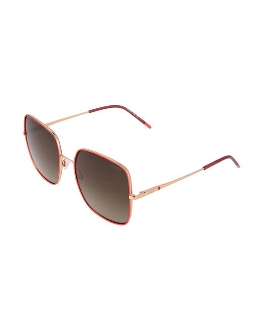 Boss Brown Sunglasses