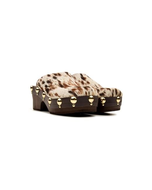 Clogs Scholl en coloris Brown