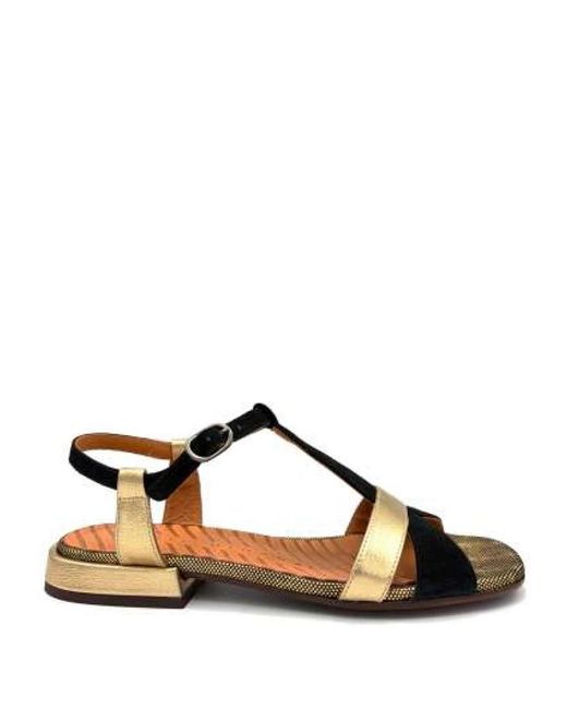 Chie Mihara Brown Tomen Sandale