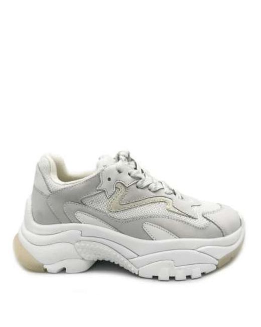 Sneakers Ash de color Gray