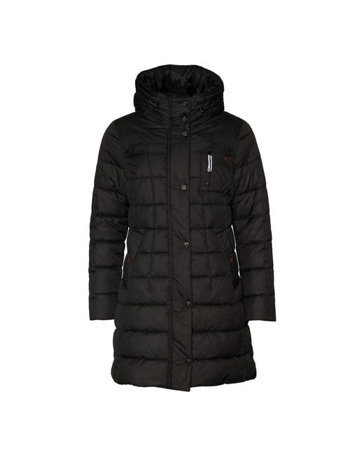 Danwear Jassen ,Zwart ,Donsjassen in het Black