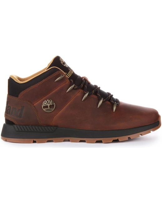 Timberland Brown Lace-Up Boots for men