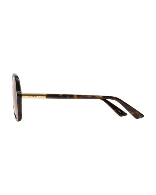 Chloé Brown Sunglasses