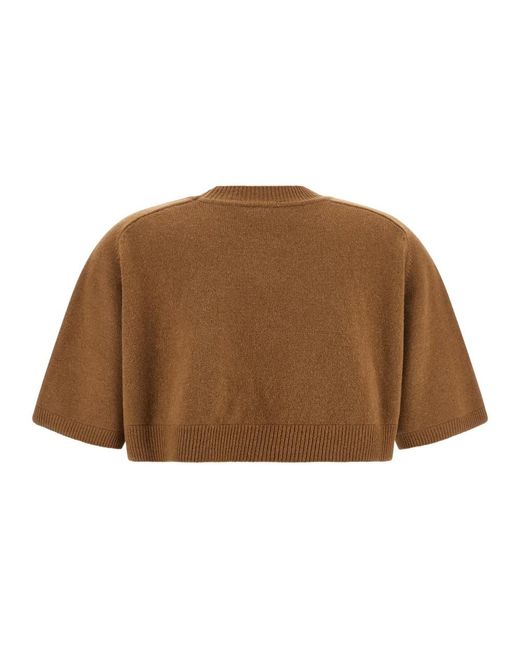 Elisabetta Franchi Brown Round-Neck Knitwear