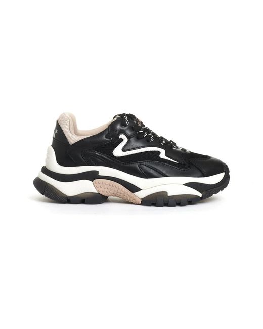 Ash Black Sneakers