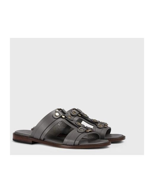 Doucal's Brown Sliders