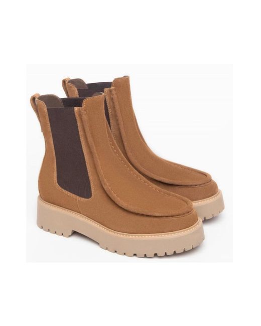 Nero Giardini Brown Chelsea boots mit doppeltem elastik in kastanienbraunem wildleder
