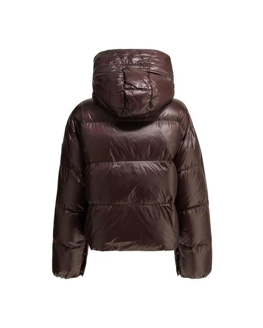 Winter Jackets Pinko de color Brown
