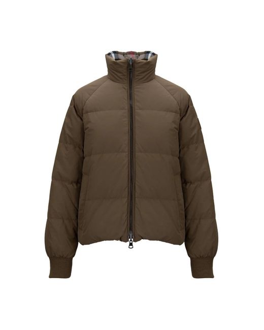 Burberry Brown Winter Jackets