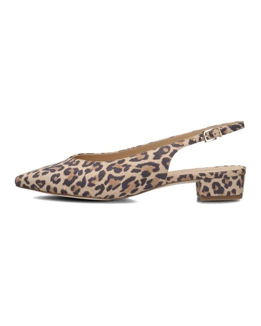 Peter Kaiser Heeled Mules in het Brown