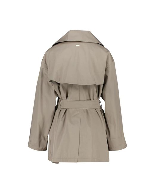 Herno Trenchcoats in het Gray
