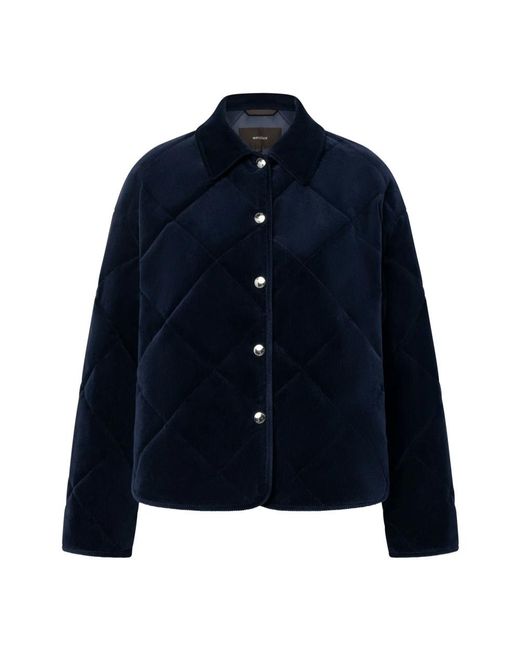 Light Jackets Windsor. en coloris Blue
