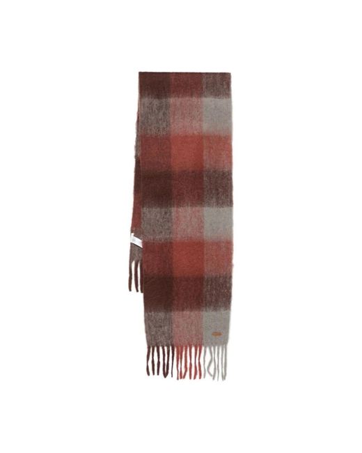 Winter Scarves Yerse de color Brown