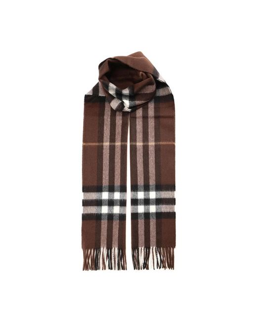 Burberry Brown Winter Scarves