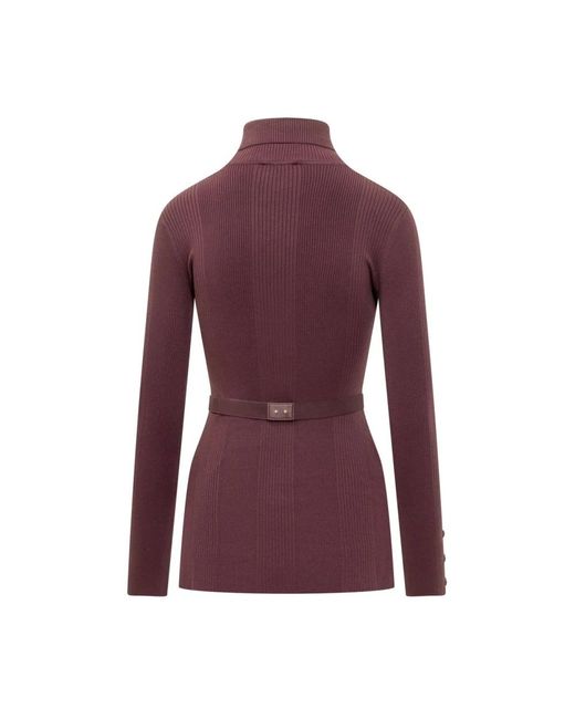 Elisabetta Franchi Turtlenecks in het Purple