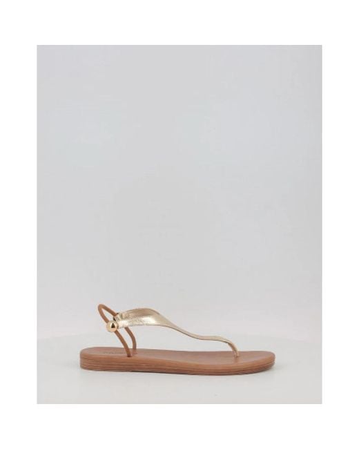 Birkenstock Brown Sliders for men