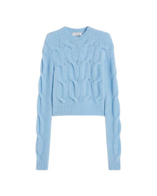 Sportmax Blue Round-Neck Knitwear