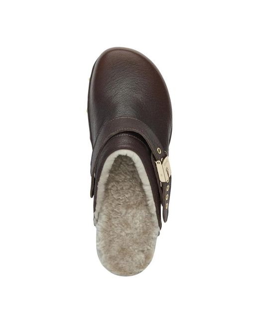 Scholl Schoenen ,Bruin ,Leer Schoenen in het Brown