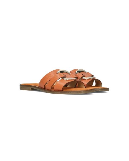 Notre-v Brown Leder-Sliders