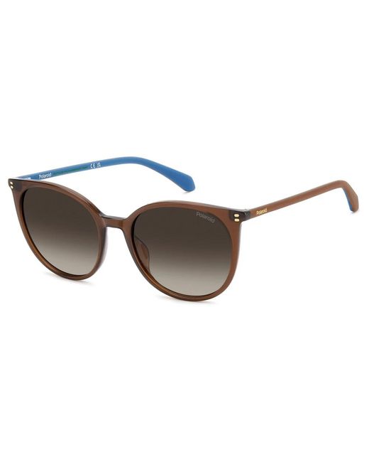 Polaroid Brown Sunglasses
