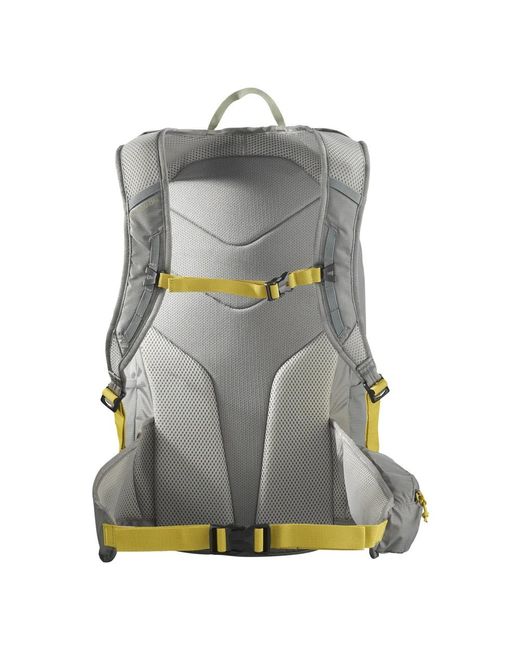 Backpacks Salomon de color Green