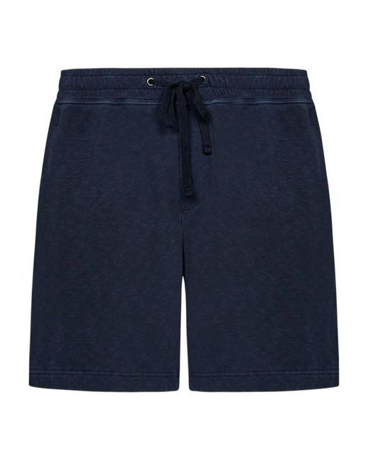 James Perse Blue Casual Shorts for men