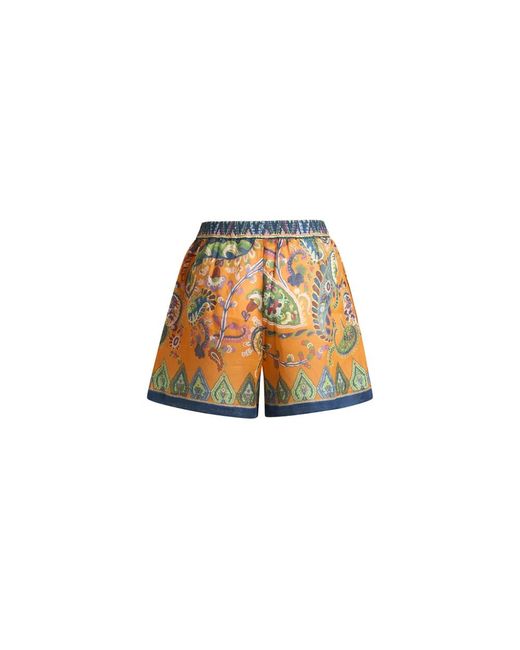 Etro Multicolor Casual Shorts