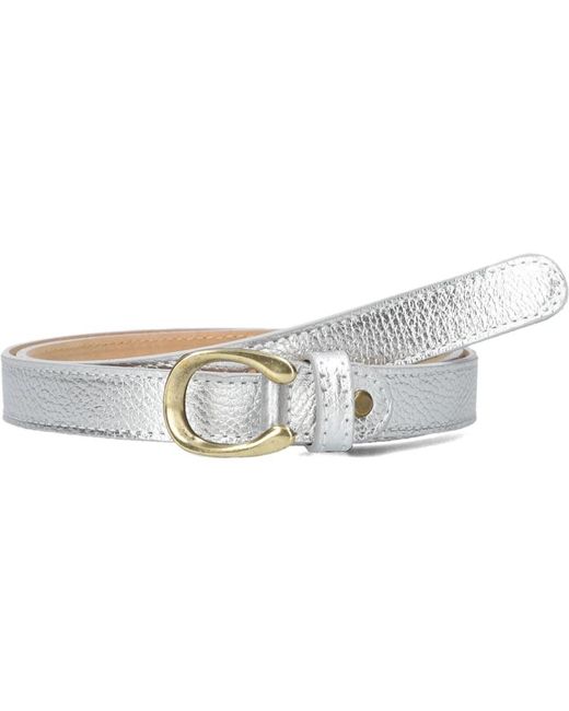 Notre-v Accessoires ,Grijs ,Leer Grijze Riem in het White