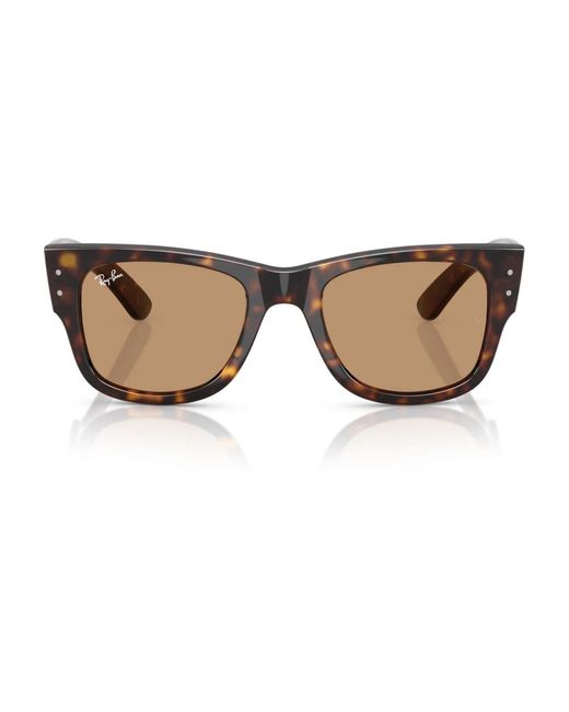Ray-Ban Brown Sunglasses