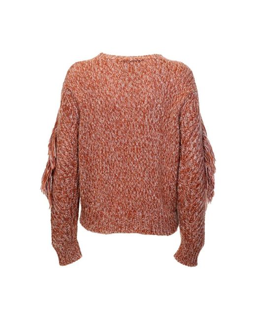 SKILLS & GENES Brown Round-Neck Knitwear