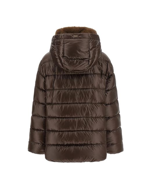 Down Jackets Herno en coloris Brown