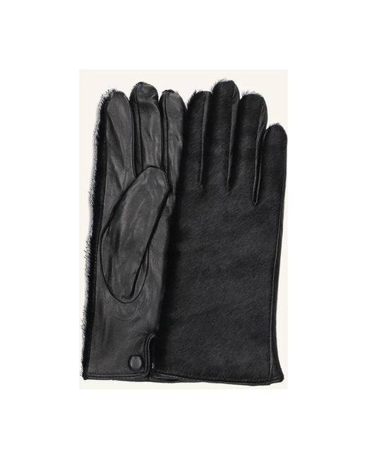 Notre-v Black Elegante Zawb1-154A Damen Handschuhe