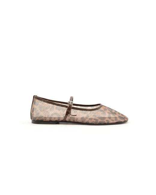 Ballerinas di Steve Madden in Brown