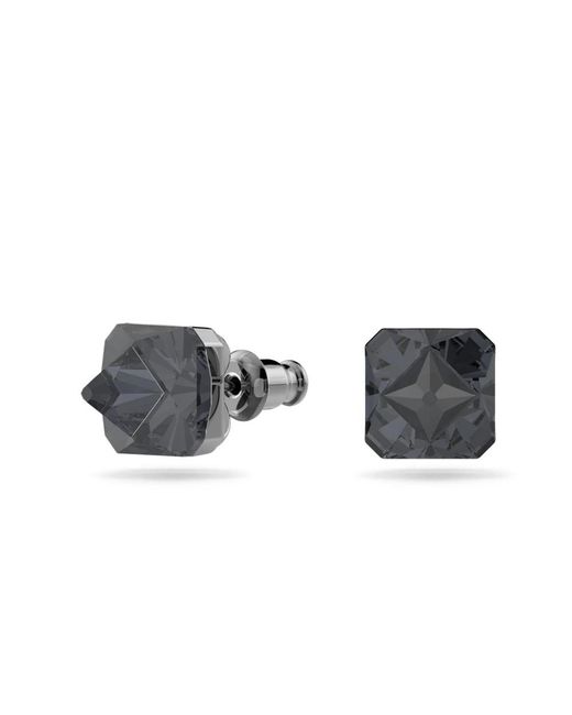Swarovski Gray Earrings