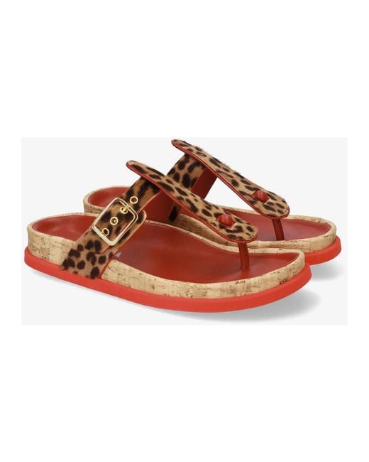 Flip Flops Premiata en coloris Brown