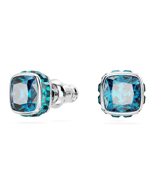 Swarovski Blue Uhren