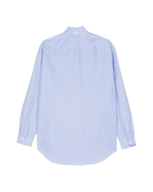 Tommy Hilfiger Blue Shirts