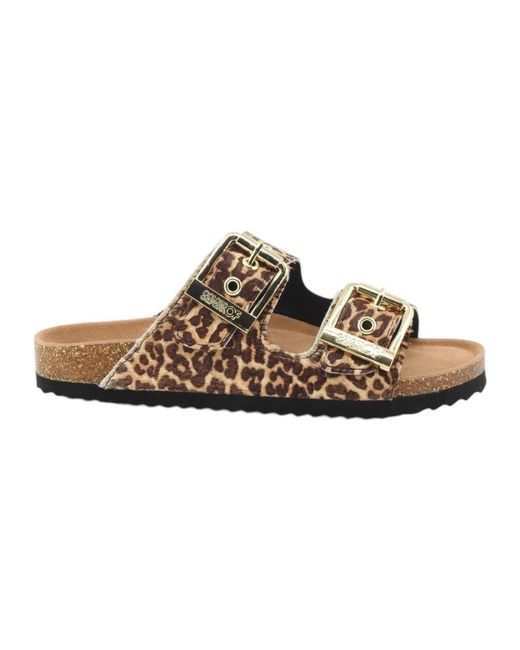 Colors Of California Brown Sliders