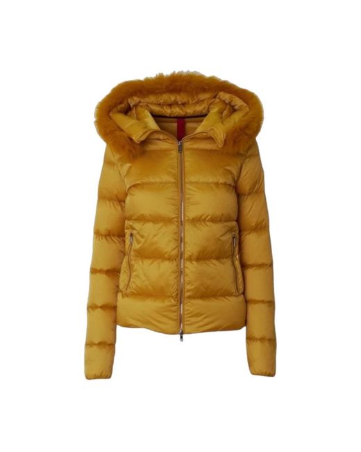 Museum Yellow Winter Jackets