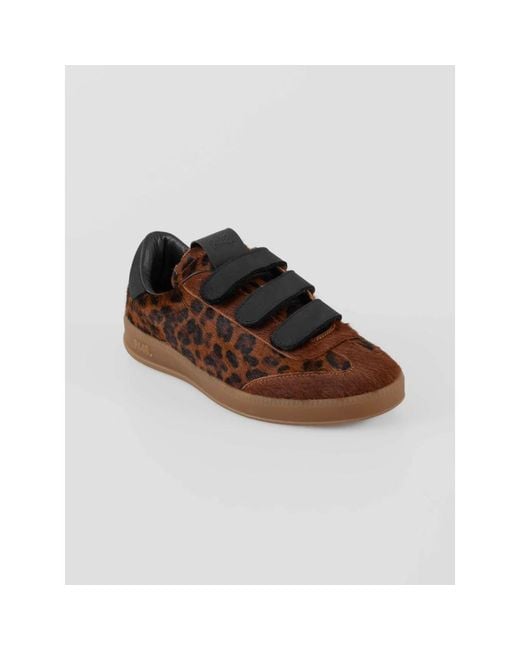 P448 Brown Sneakers