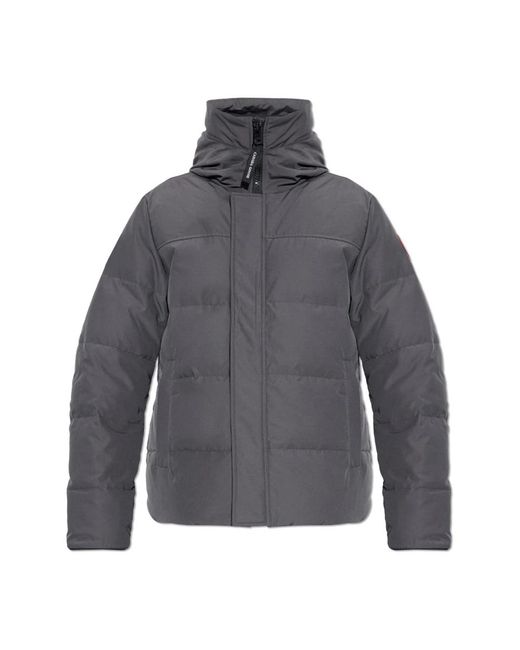 Down Jackets Canada Goose de hombre de color Gray