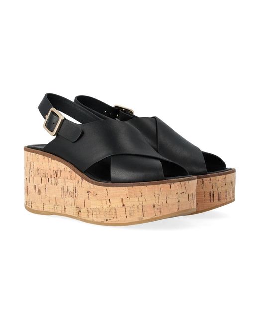 Paloma Barceló Blue Wedges