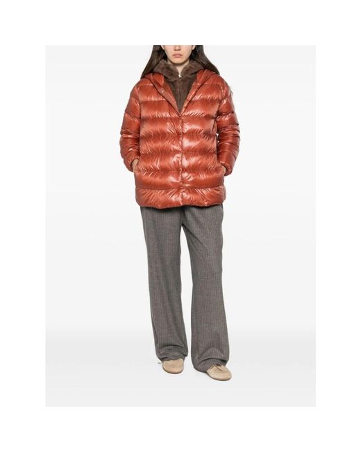 Winter Jackets Herno en coloris Orange