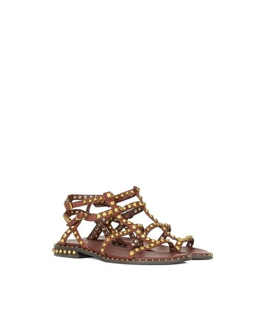 Ash Brown Flat Sandals