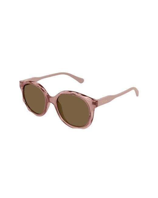 Chloé Brown Sunglasses